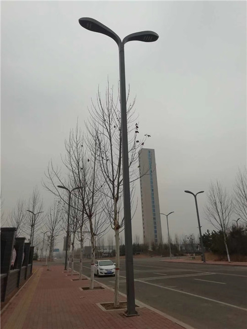 太陽能香蕉影视成人网站